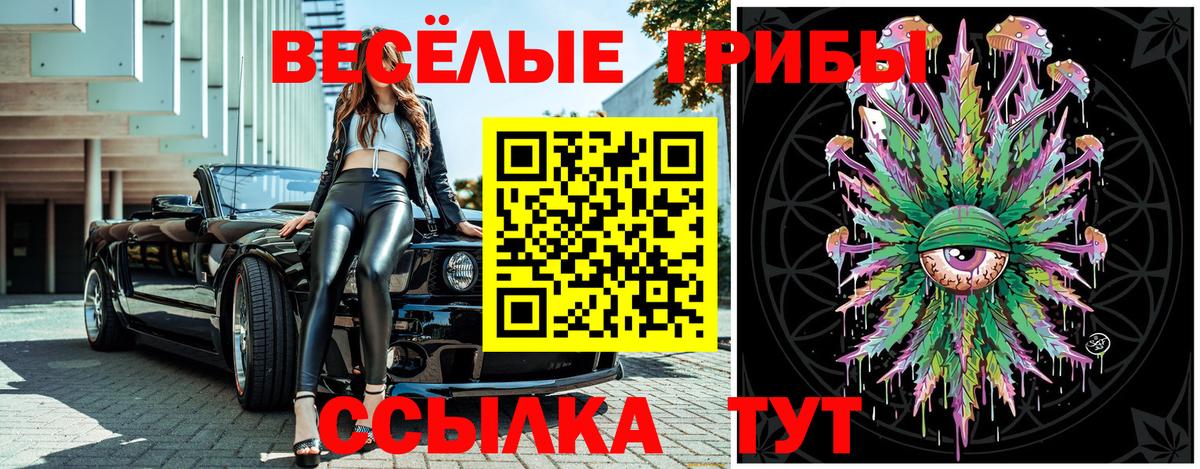 Вязьма  Галлюциногенные грибы прущие грибы  Вход с VPN 