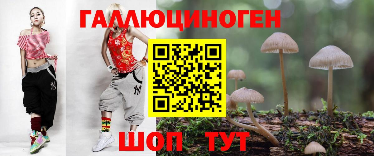 Псилоцибиновые грибы GOLDEN TEACHER Вязьма